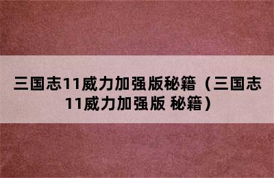 三国志11威力加强版秘籍（三国志11威力加强版 秘籍）